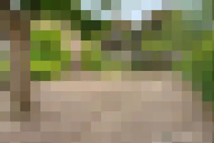 Teldersweg 25 Rhenen thumbnail 40