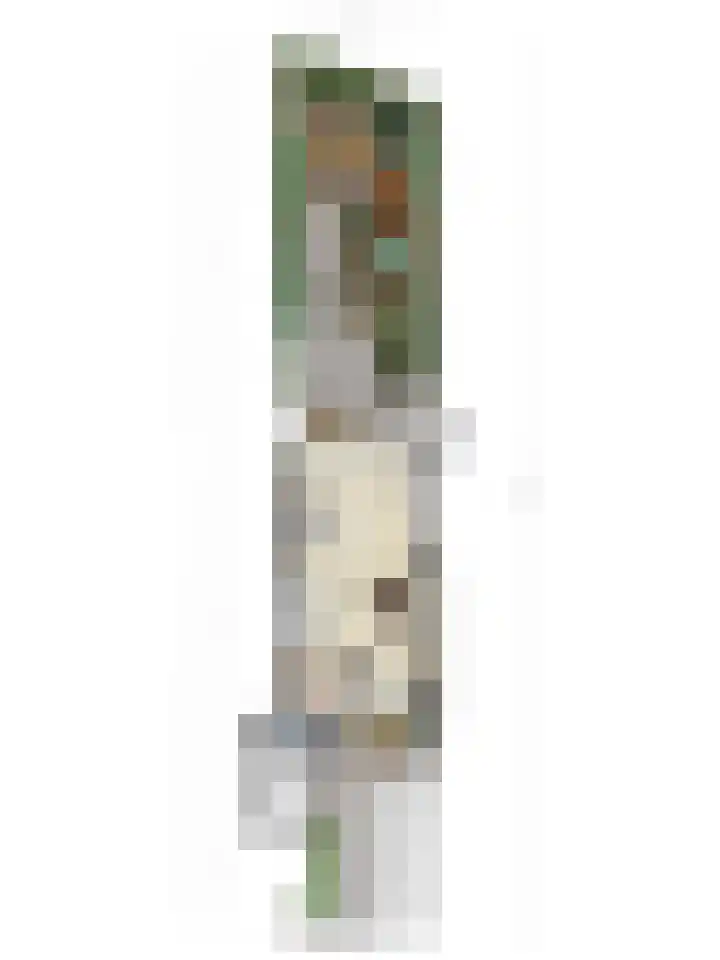 Teldersweg 25 Rhenen thumbnail 45