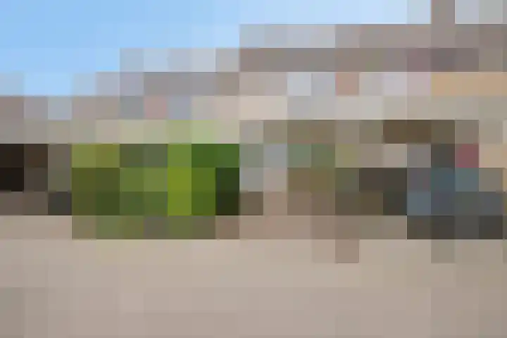 Teldersweg 25 Rhenen thumbnail 46