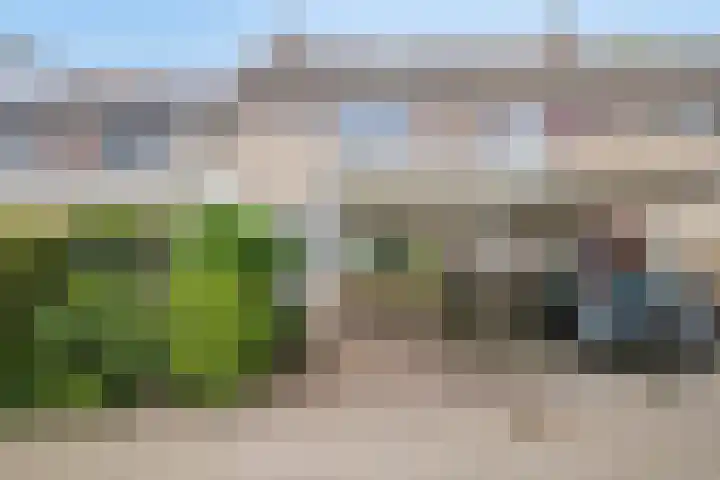 Teldersweg 25 Rhenen thumbnail 6