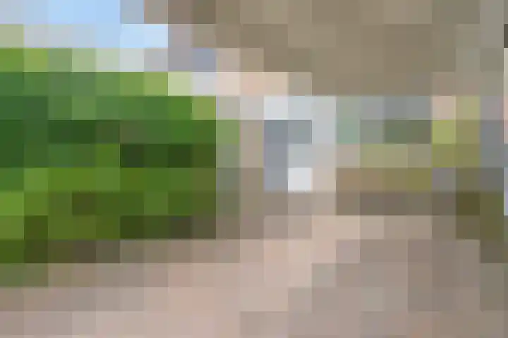 Teldersweg 25 Rhenen thumbnail 7