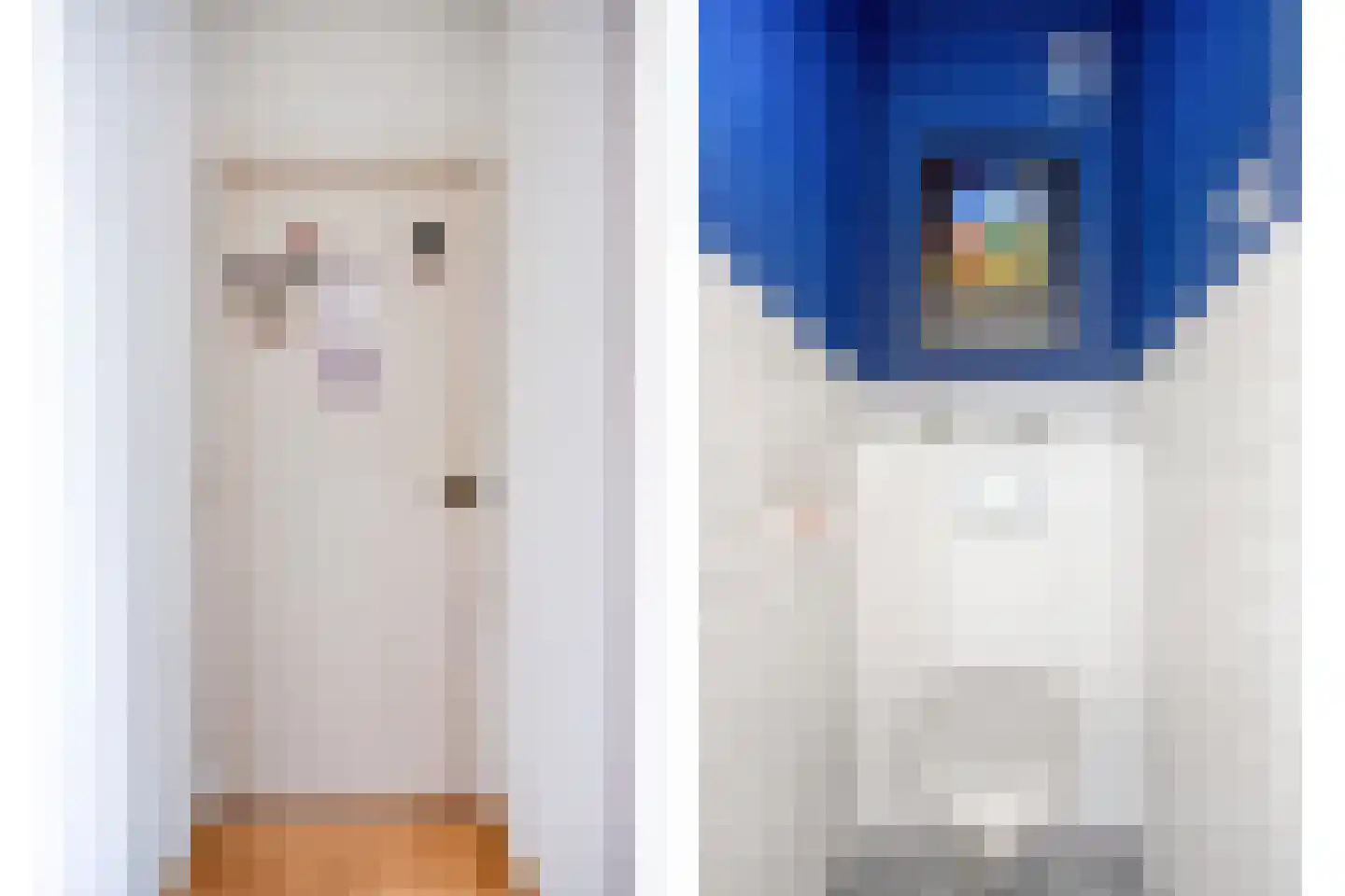 Teldersweg 253 Rotterdam thumbnail 6
