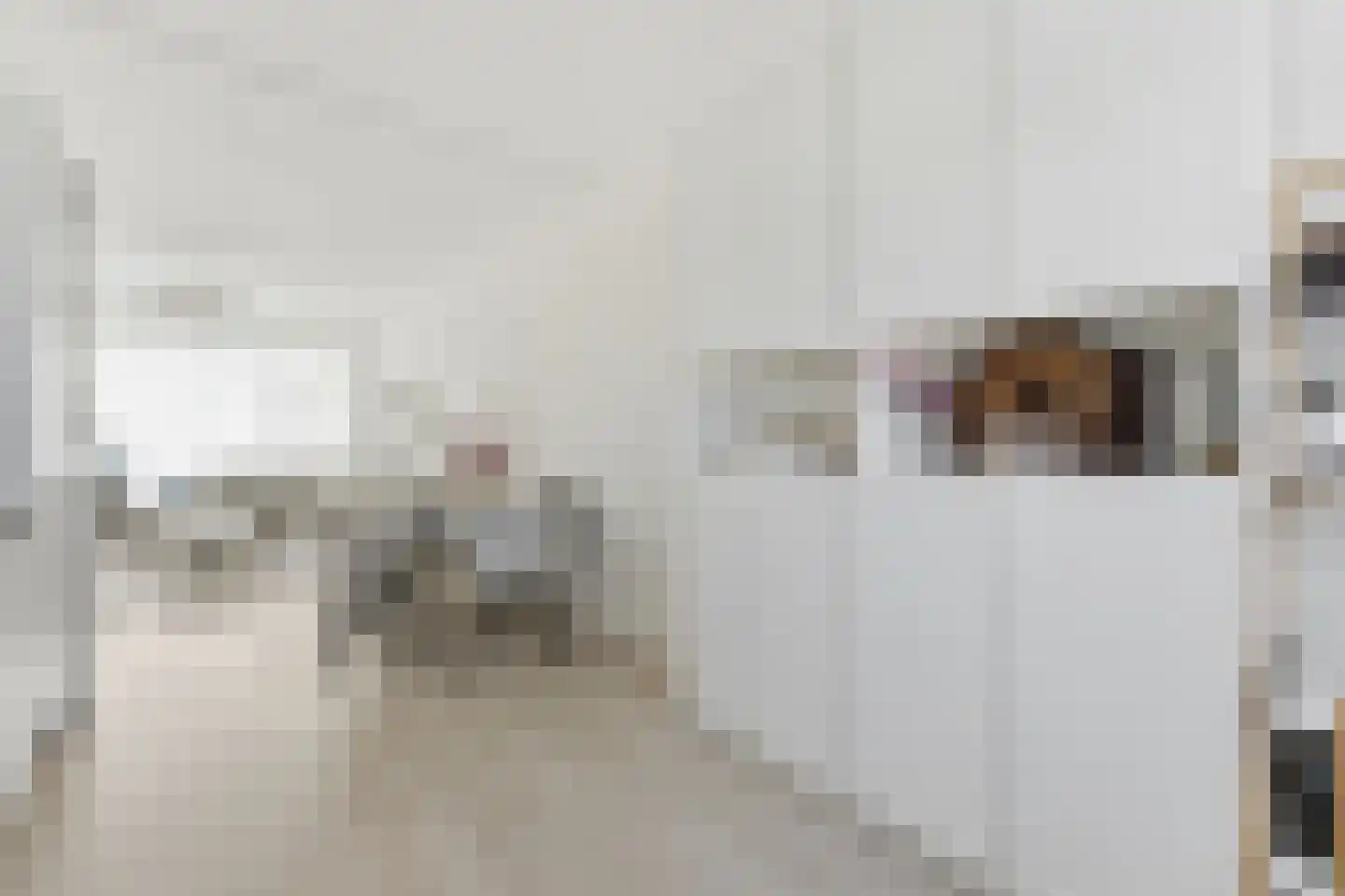 Teldersweg 269 Rotterdam thumbnail 15