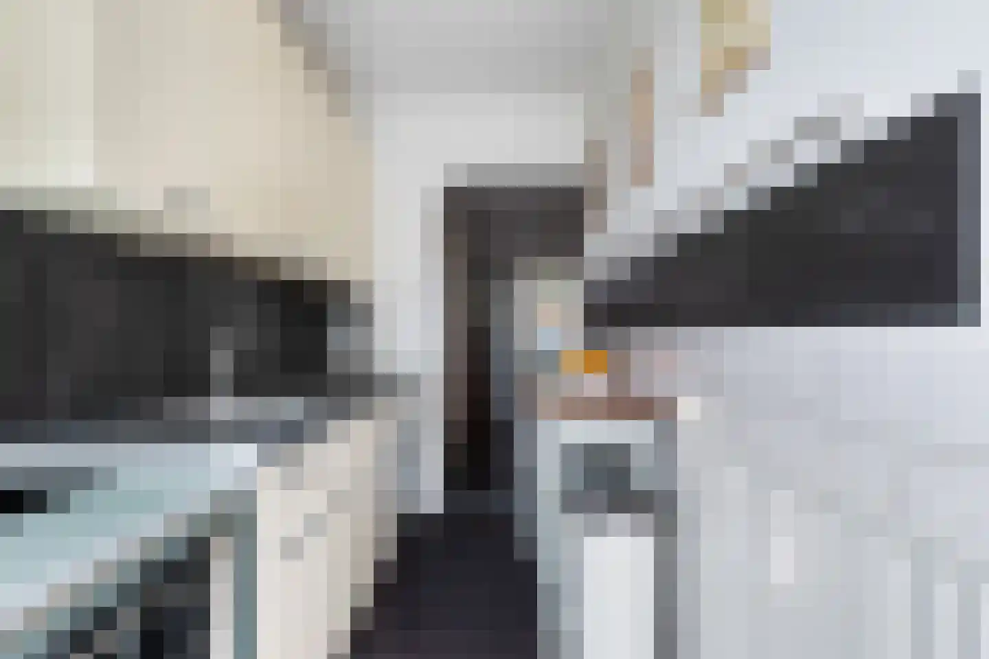 Teldersweg 277 Rotterdam thumbnail 18