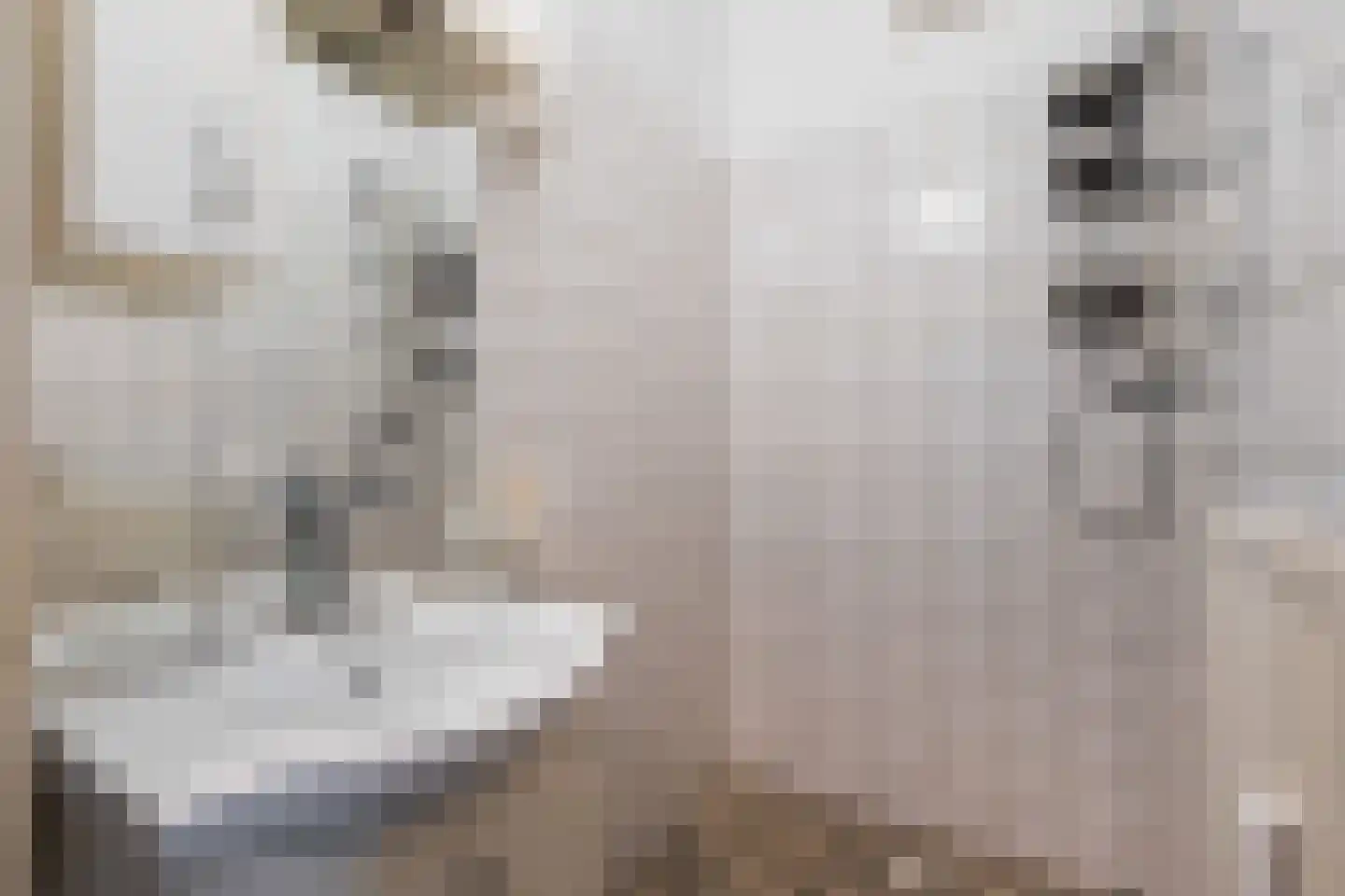Teldersweg 277 Rotterdam thumbnail 28