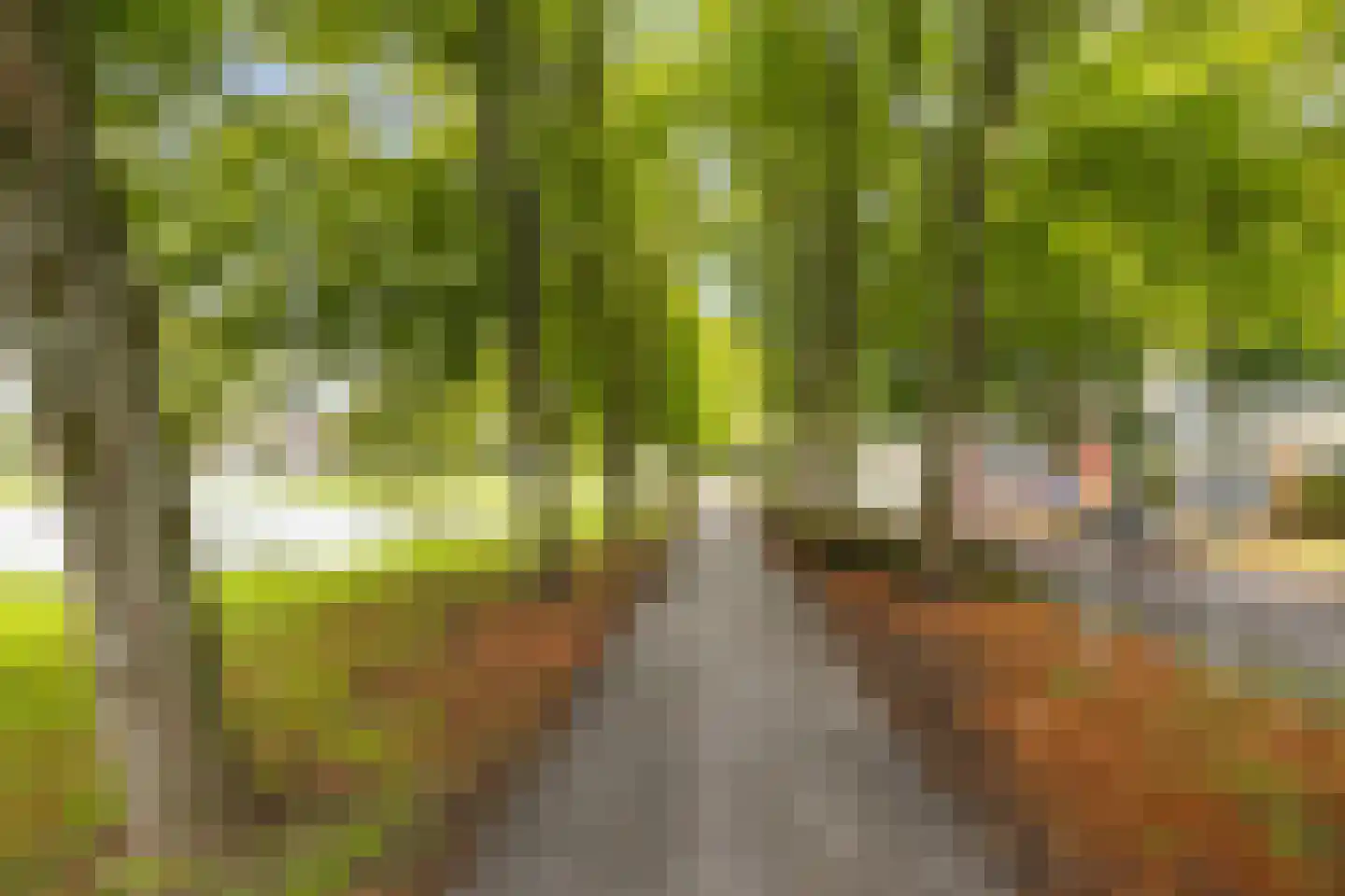 Teldersweg 277 Rotterdam thumbnail 38
