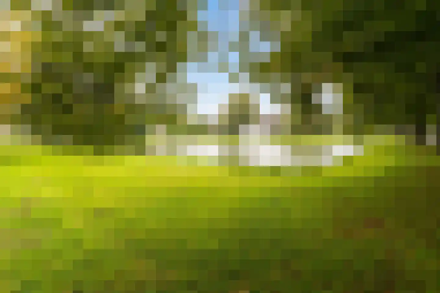 Teldersweg 277 Rotterdam thumbnail 39