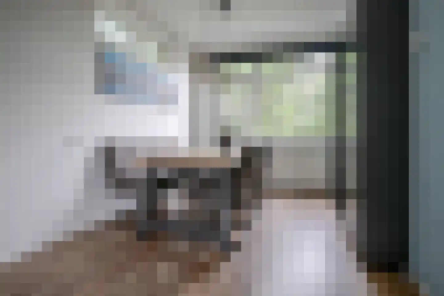 Teldersweg 285 Rotterdam thumbnail 11