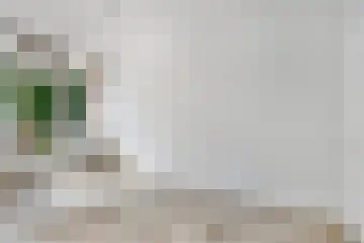 Teldersweg 29 Rotterdam thumbnail 10