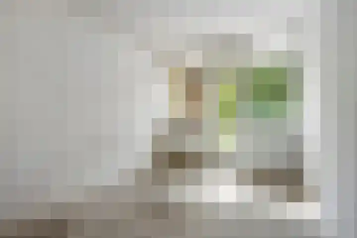 Teldersweg 29 Rotterdam thumbnail 11