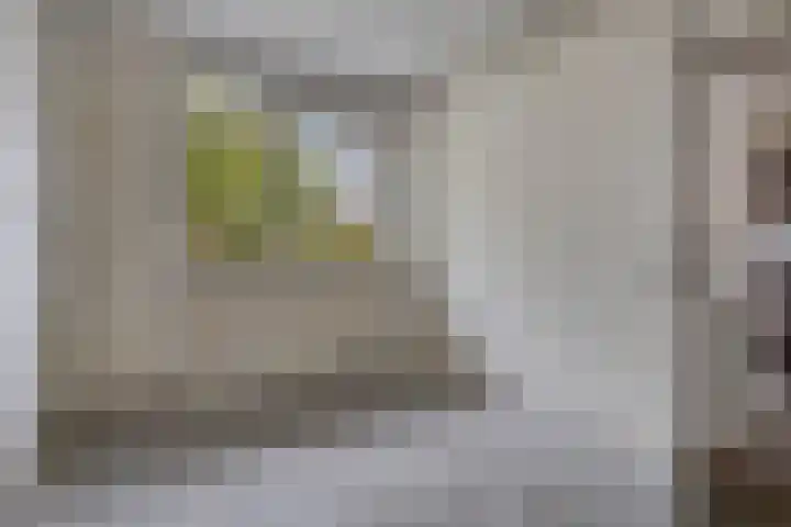 Teldersweg 29 Rotterdam thumbnail 15