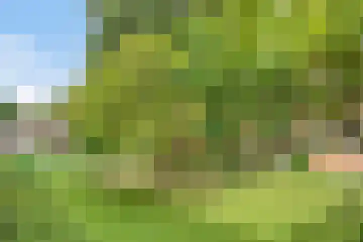 Teldersweg 29 Rotterdam thumbnail 17