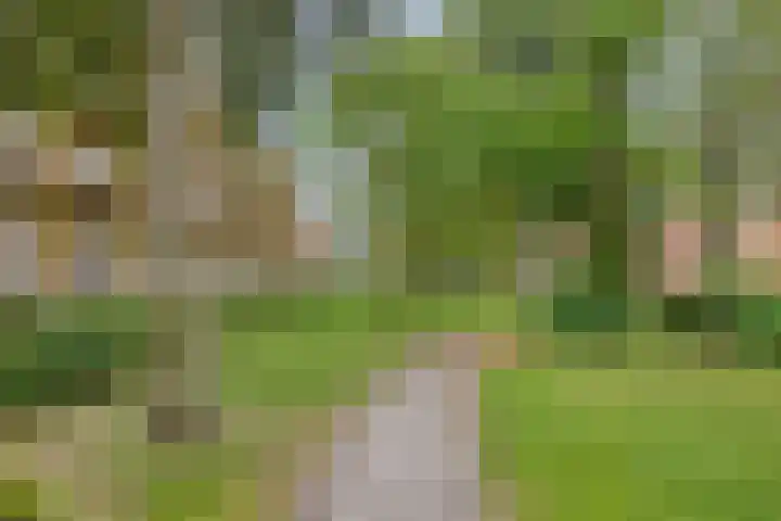Teldersweg 29 Rotterdam thumbnail 19