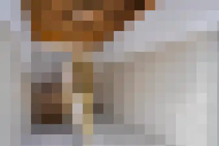 Teldersweg 29 Rotterdam thumbnail 4