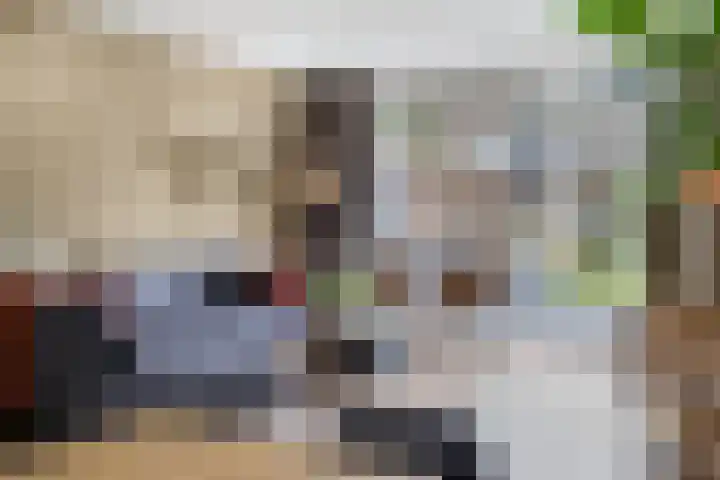 Teldersweg 32 Rhenen thumbnail 10