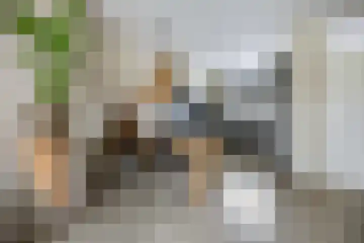Teldersweg 32 Rhenen thumbnail 13