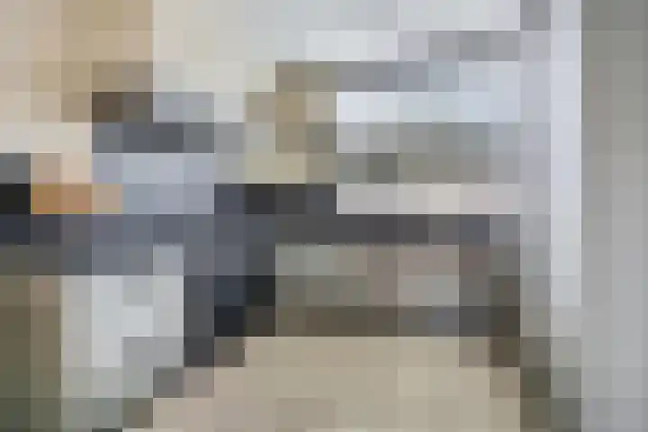 Teldersweg 32 Rhenen thumbnail 14