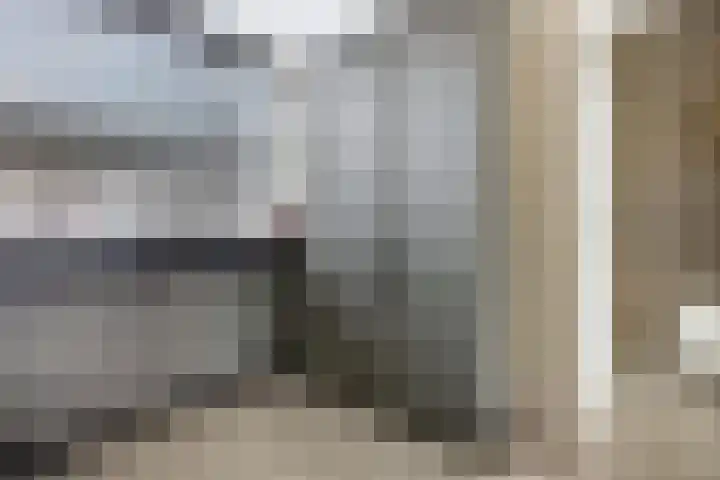 Teldersweg 32 Rhenen thumbnail 16