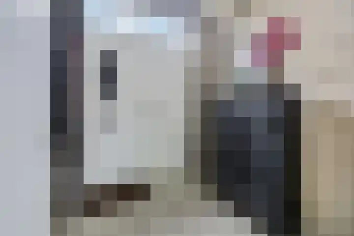 Teldersweg 32 Rhenen thumbnail 18