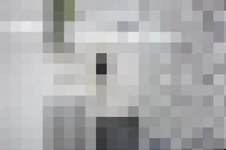 Teldersweg 32 Rhenen thumbnail 25