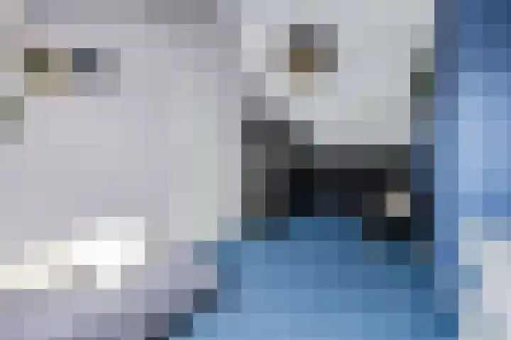 Teldersweg 32 Rhenen thumbnail 32