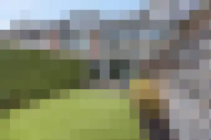 Teldersweg 32 Rhenen thumbnail 36
