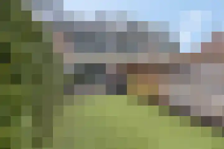 Teldersweg 32 Rhenen thumbnail 37