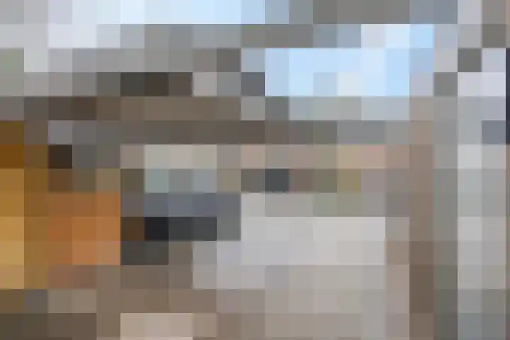 Teldersweg 32 Rhenen thumbnail 38