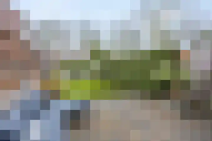 Teldersweg 32 Rhenen thumbnail 4