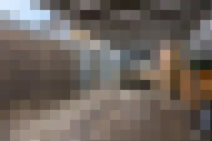 Teldersweg 32 Rhenen thumbnail 5