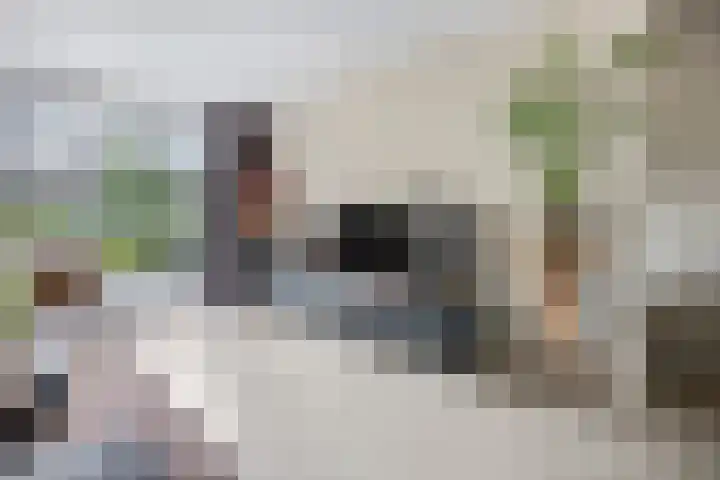 Teldersweg 32 Rhenen thumbnail 8