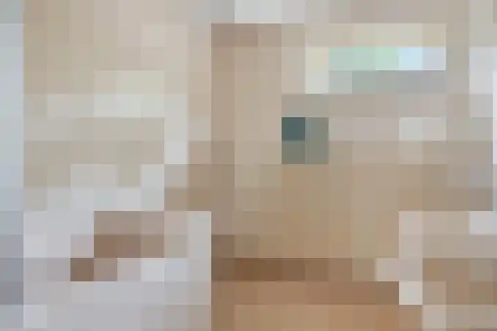 Teldersweg 38 Rotterdam thumbnail 18