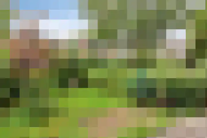 Teldersweg 38 Rotterdam thumbnail 22
