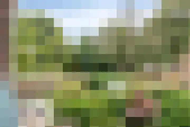 Teldersweg 38 Rotterdam thumbnail 25