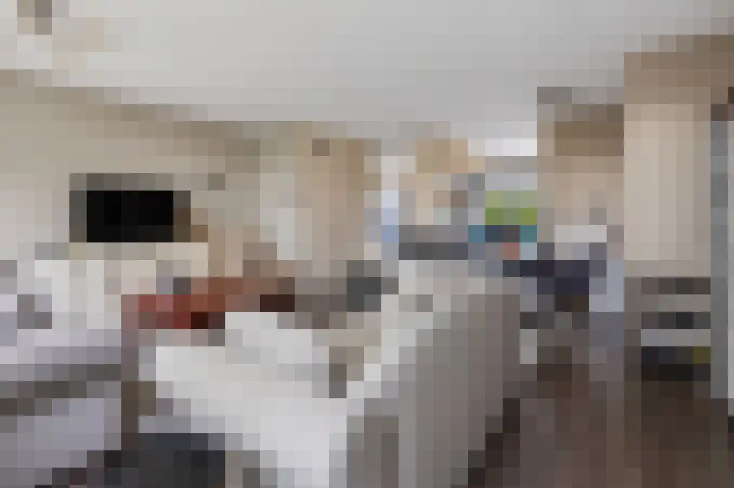 Teldersweg 43 Rhenen thumbnail 10