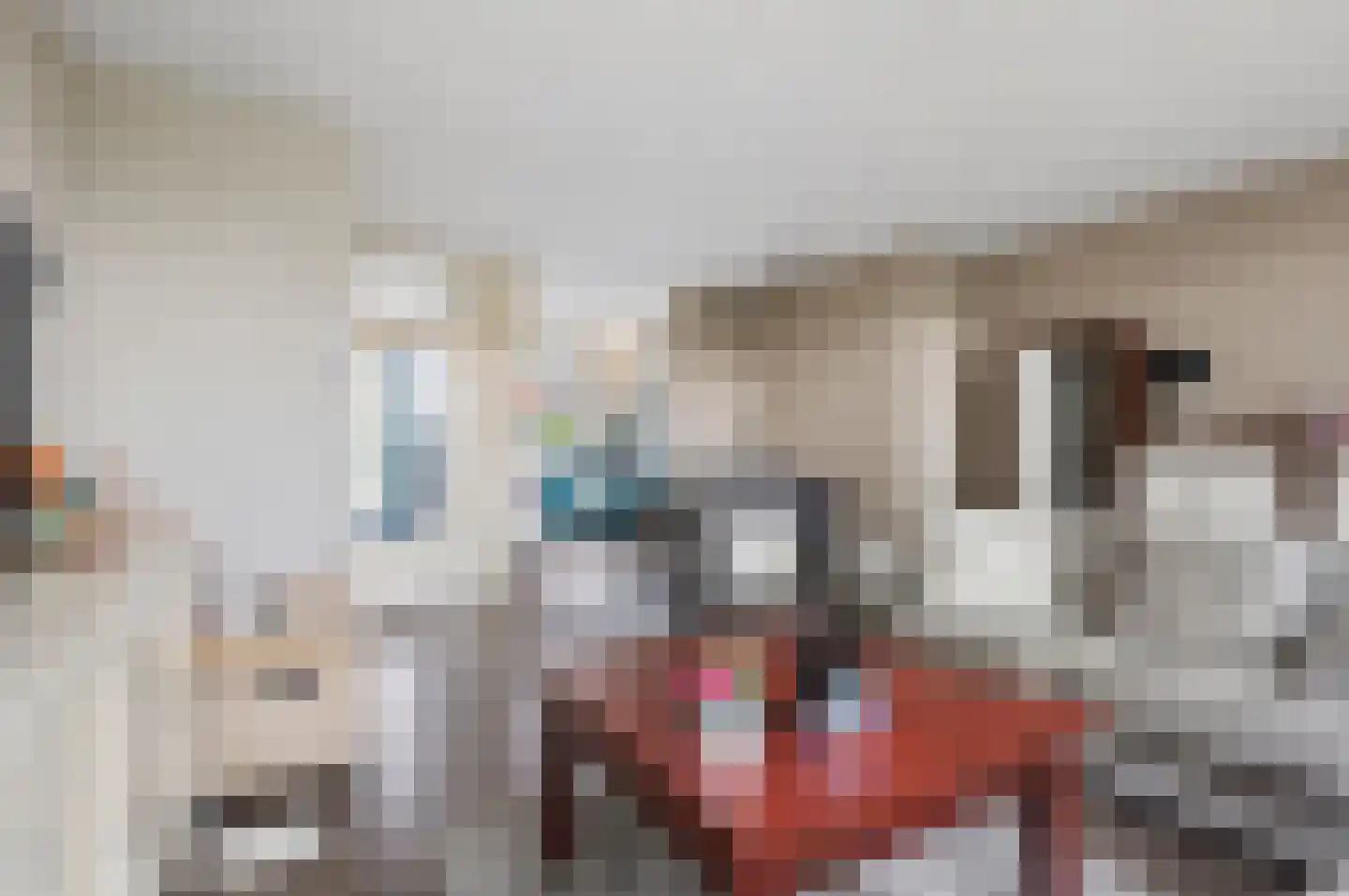 Teldersweg 43 Rhenen thumbnail 11