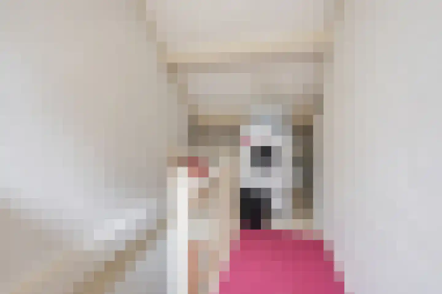 Teldersweg 43 Rhenen thumbnail 22