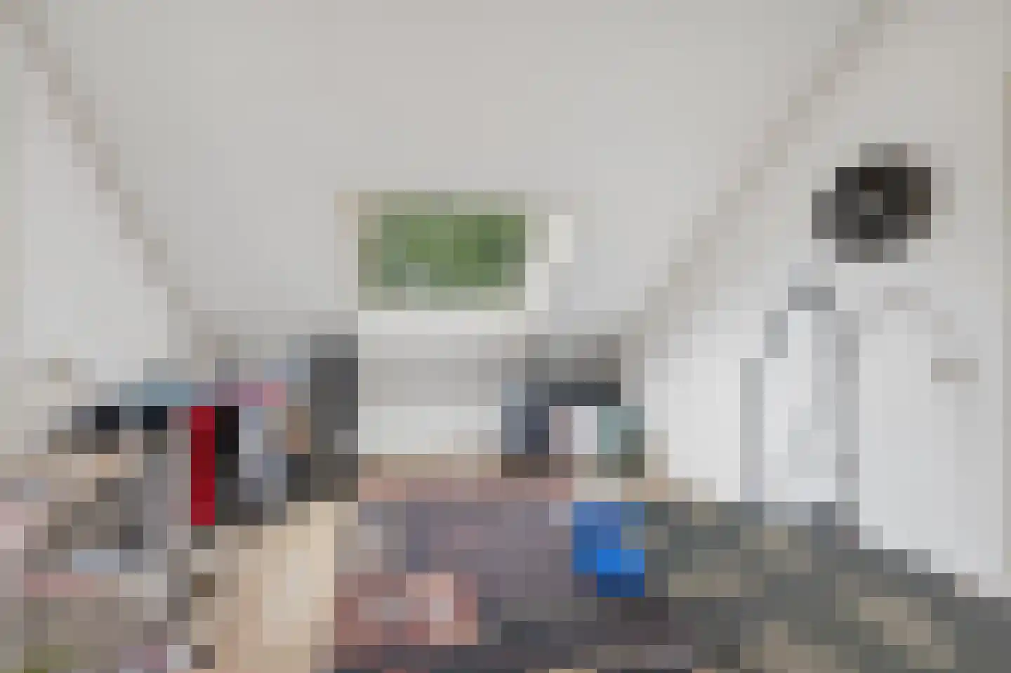 Teldersweg 43 Rhenen thumbnail 24