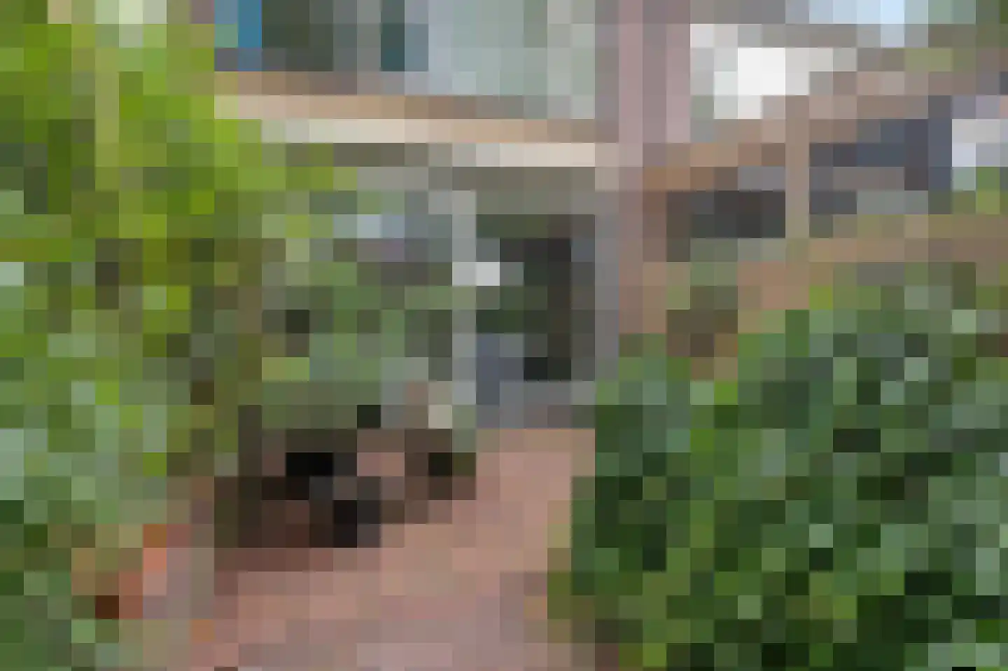 Teldersweg 43 Rhenen thumbnail 25