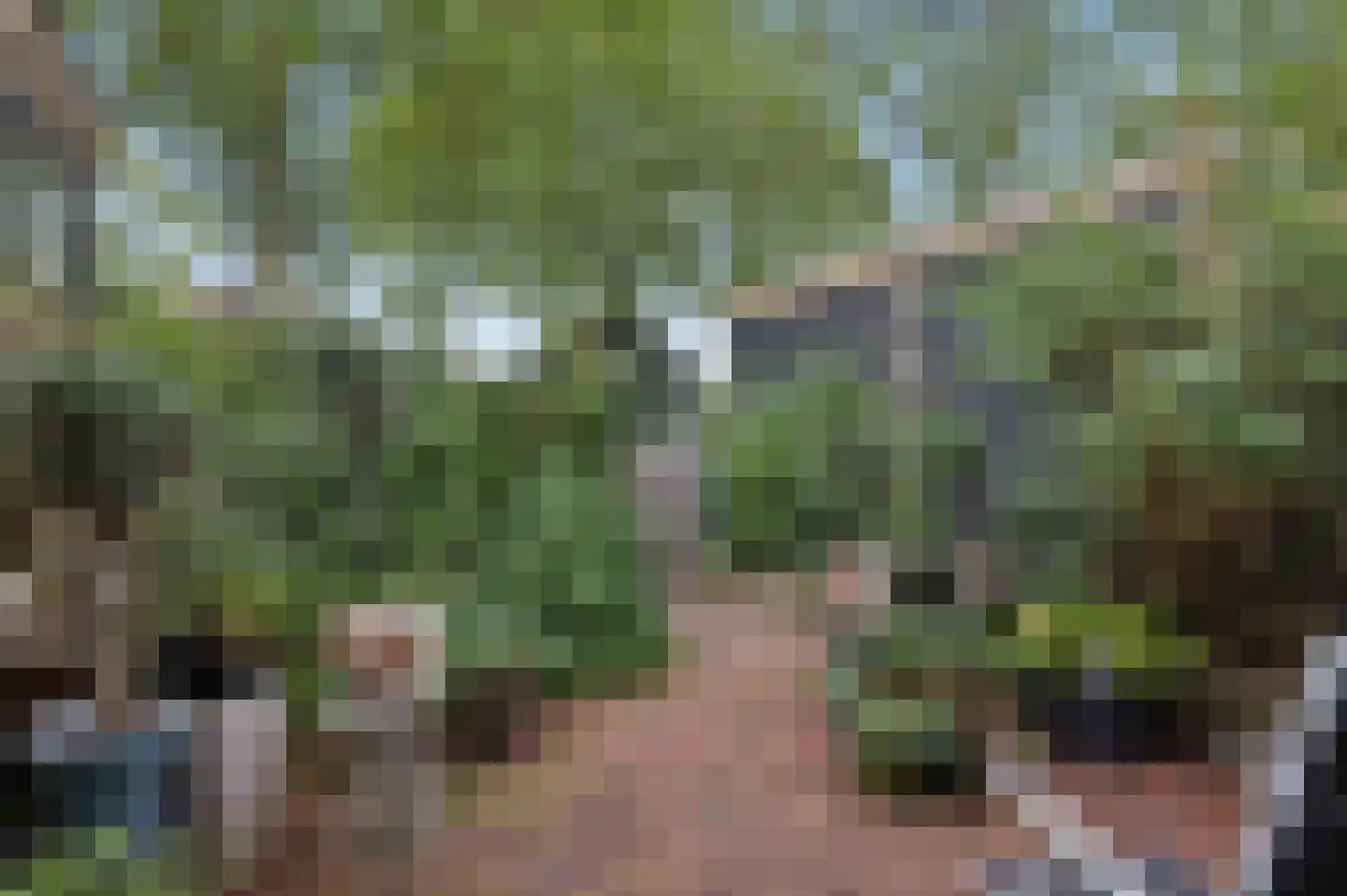 Teldersweg 43 Rhenen thumbnail 26