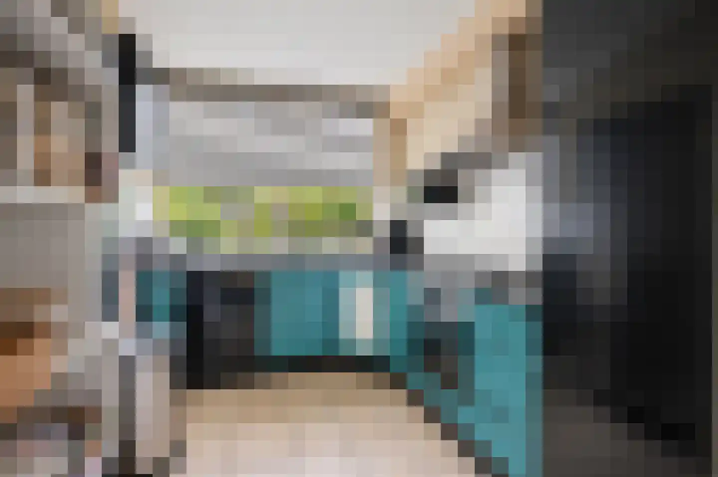 Teldersweg 43 Rhenen thumbnail 4