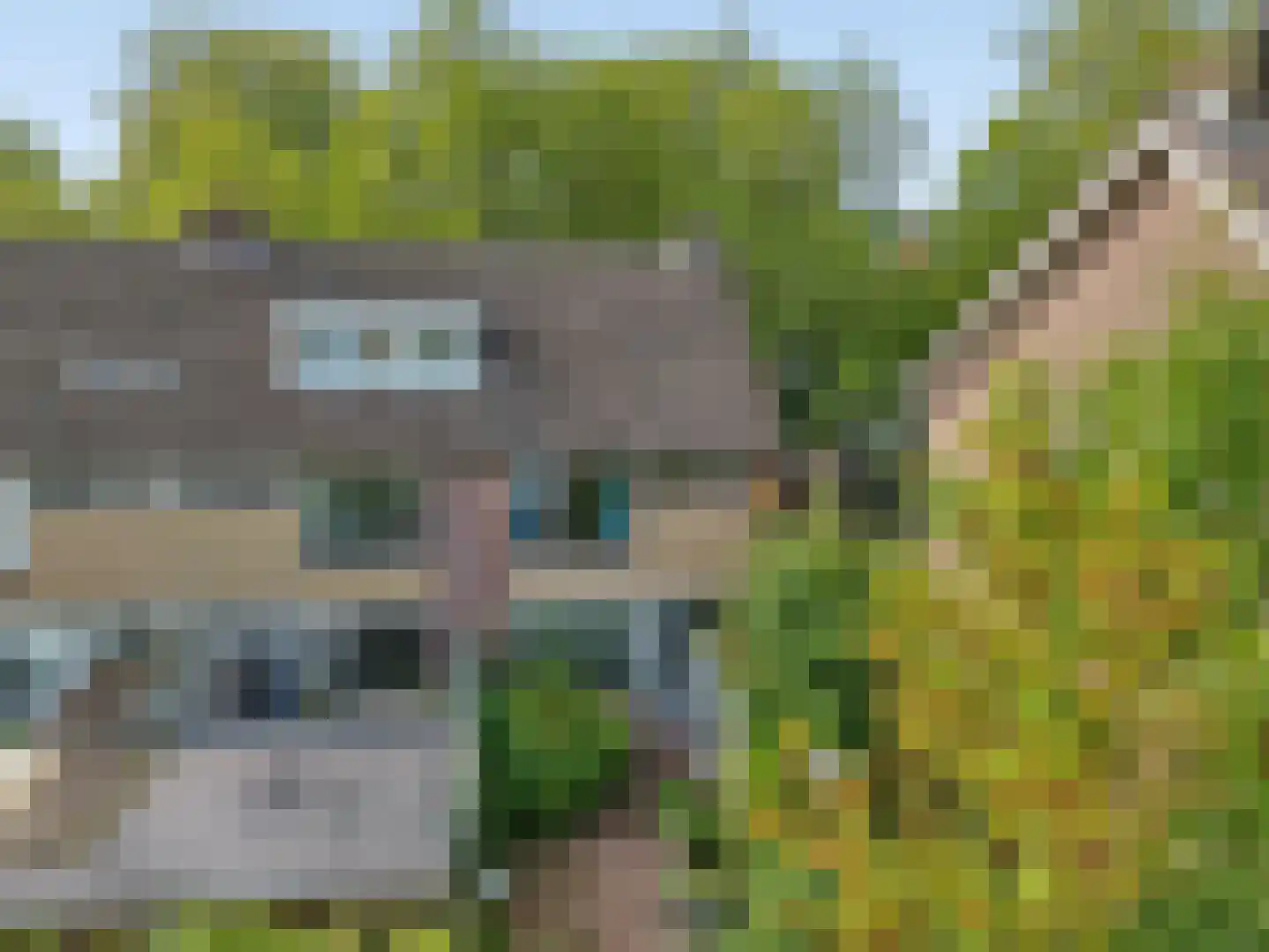 Teldersweg 43 Rhenen thumbnail 5