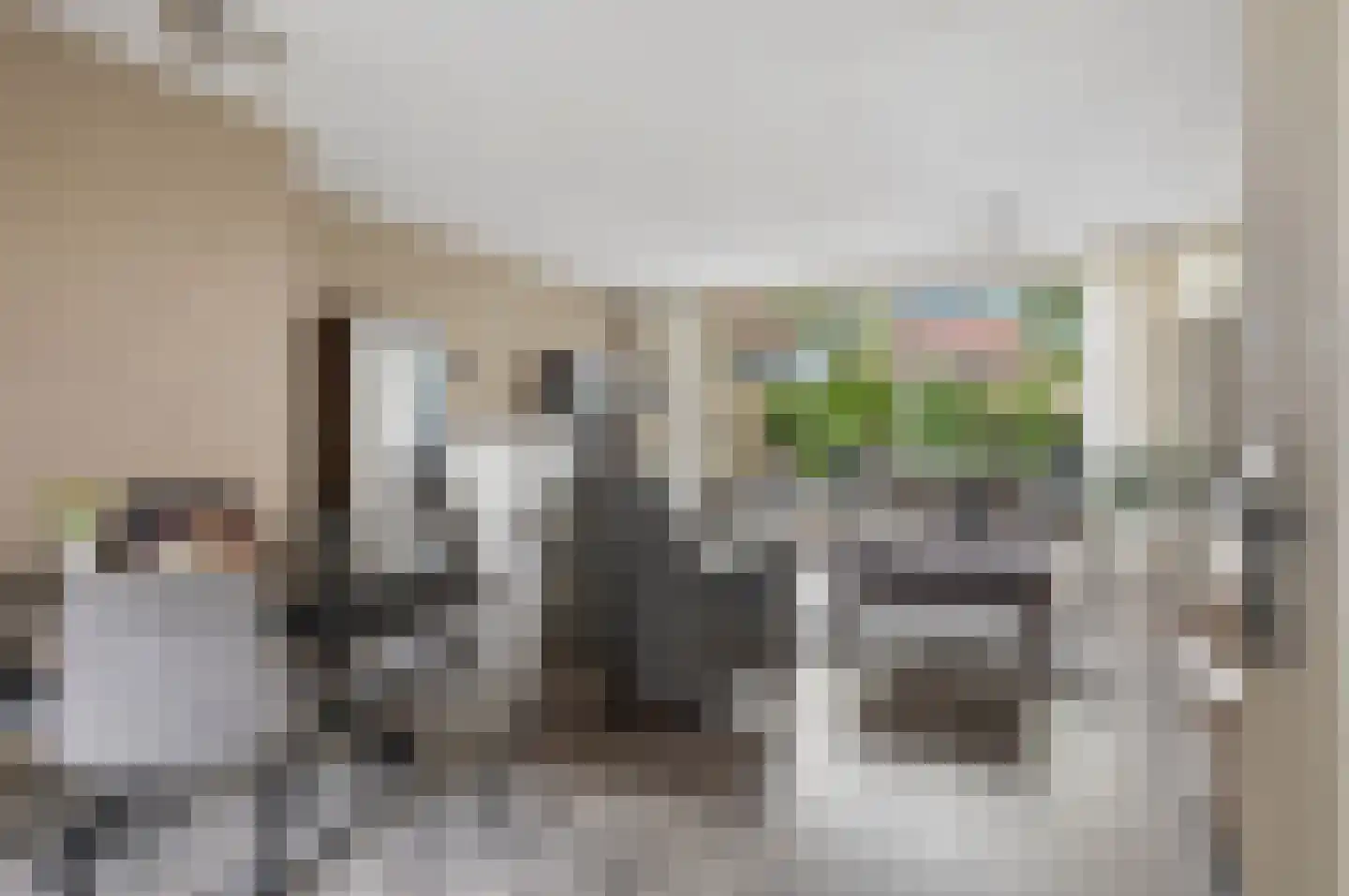 Teldersweg 43 Rhenen thumbnail 8