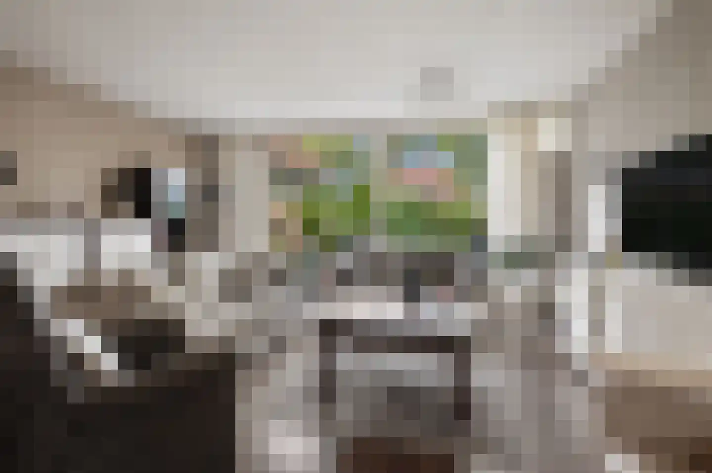 Teldersweg 43 Rhenen thumbnail 9