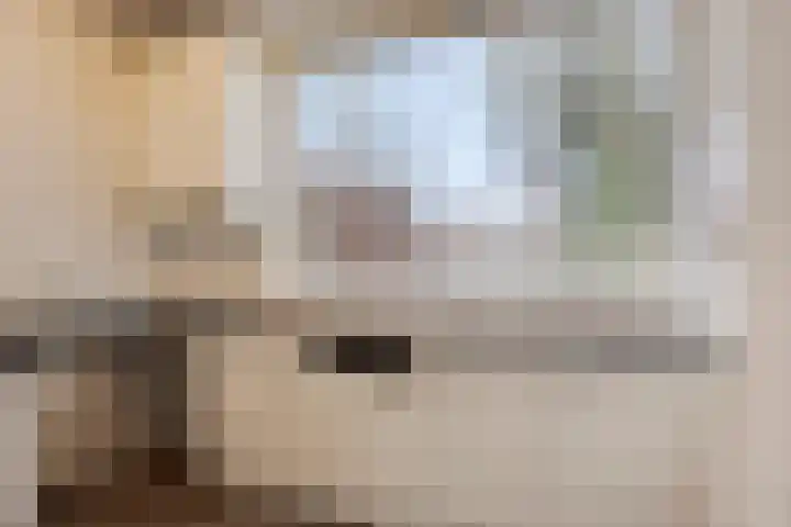 Teldersweg 48 Rhenen thumbnail 11