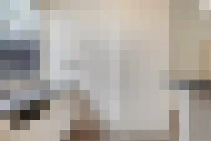 Teldersweg 48 Rhenen thumbnail 13