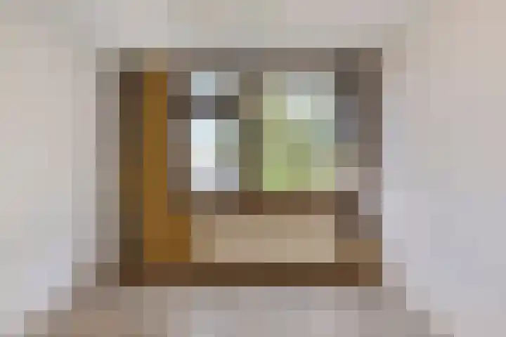 Teldersweg 48 Rhenen thumbnail 15