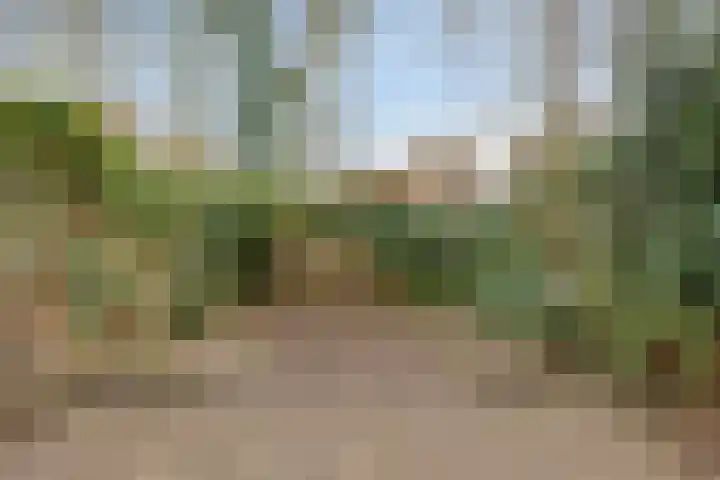 Teldersweg 48 Rhenen thumbnail 22