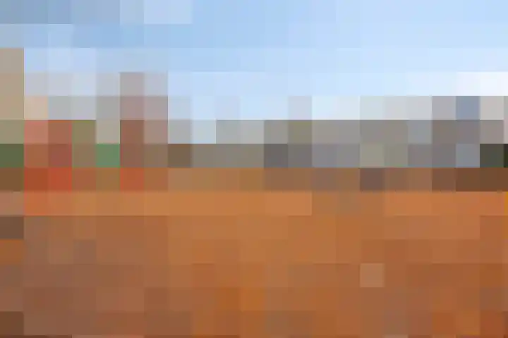 Teldersweg 48 Rhenen thumbnail 26
