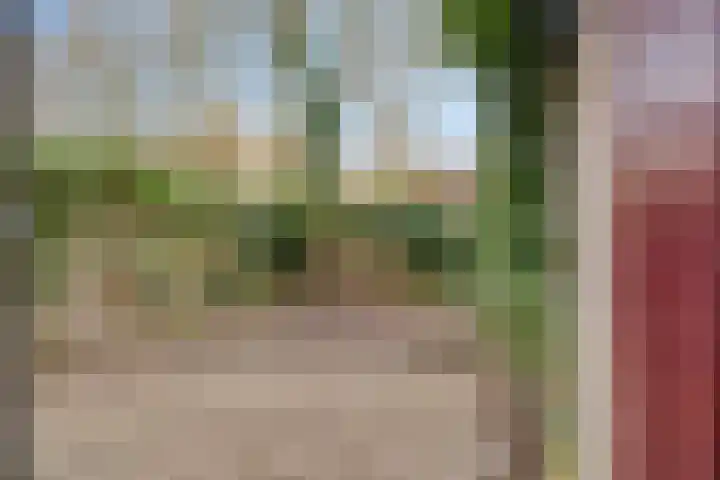 Teldersweg 48 Rhenen thumbnail 4